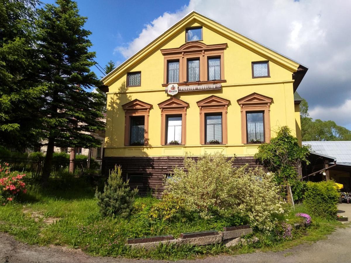 Penzion Karolina Lučany nad Nisou Eksteriør bilde